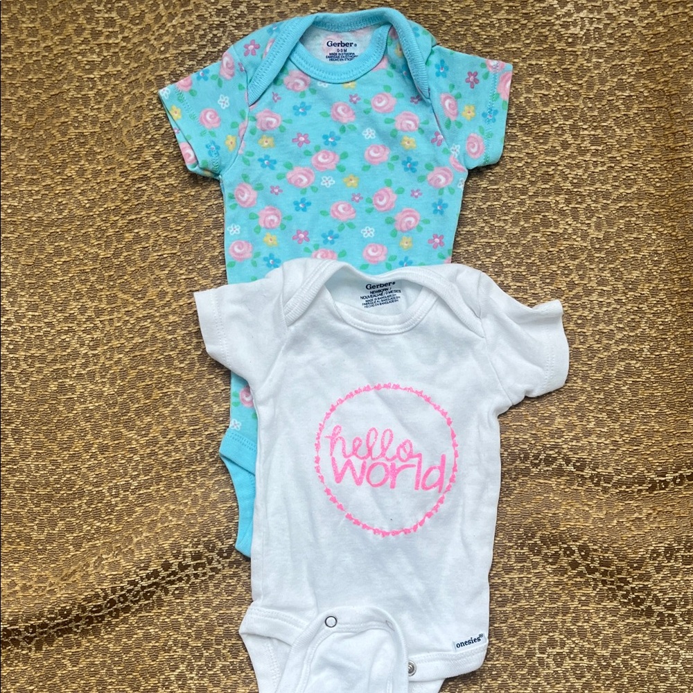 Gerber Floral Blue and White hello world Bodysuit Set
